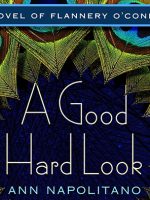 A Good Hard Look audiobook