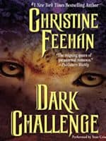 Dark Challenge audiobook