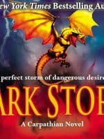 Dark Storm audiobook