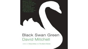 Black Swan Green audiobook