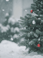 The Christmas Wishing Tree audiobook