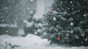 The Christmas Wishing Tree audiobook