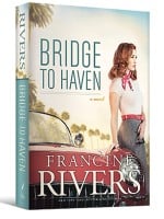 Bridge to Haven audiobook