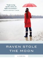Raven Stole the Moon audiobook