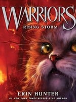 Rising Storm audiobook
