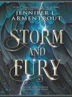 Storm and Fury audiobook