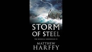 Storm of Steel audiobook