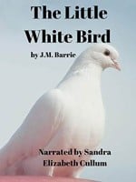 The Little White Bird audiobook