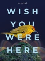 Wish You Were Here audiobook