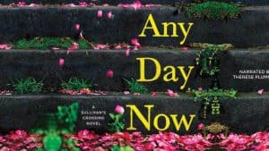 Any Day Now audiobook