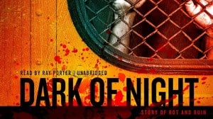 Dark of Night audiobook
