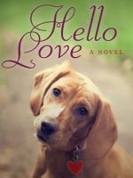 Hello Love audiobook