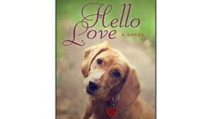 Hello Love audiobook