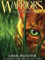 Into the Wild audiobook