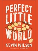 Perfect Little World audiobook