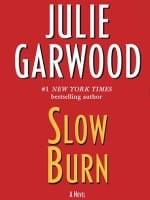 Slow Burn audiobook