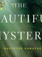 The Beautiful Mystery audiobook