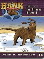 The Case of the Blinded Blizzard audiobook