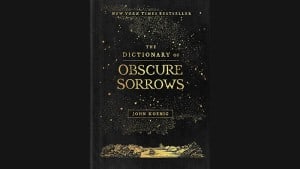 The Dictionary of Obscure Sorrows audiobook
