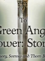 To Green Angel Tower: Storm audiobook