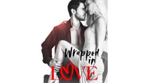 Wrapped in Love audiobook