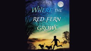 Where the Red Fern Grows audiobook