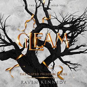 Gleam Audiobook