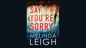 Say You're Sorry Audiobook