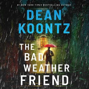 The Bad Weather Friend Audiobook