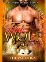 The Fire Wolf Audiobook