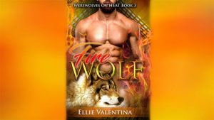 The Fire Wolf Audiobook