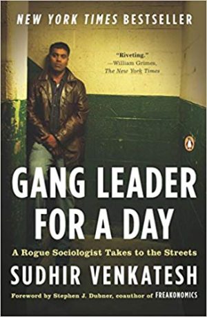 Gang Leader for a Day Audiobook