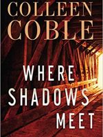 Where Shadows Meet Audiobook