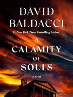 A Calamity of Souls Audiobook by David Baldacci